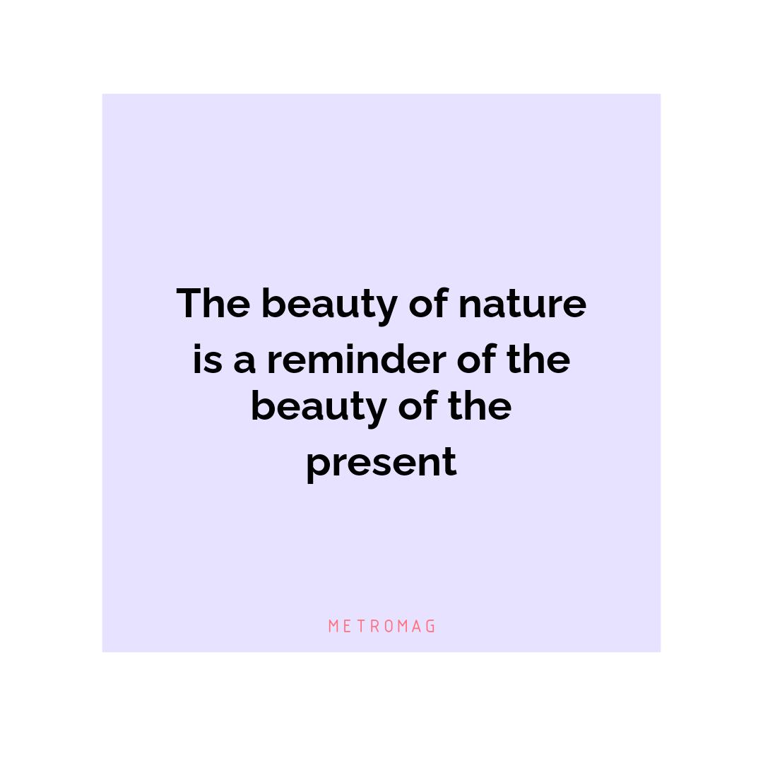 The beauty of nature is a reminder of the beauty of the present