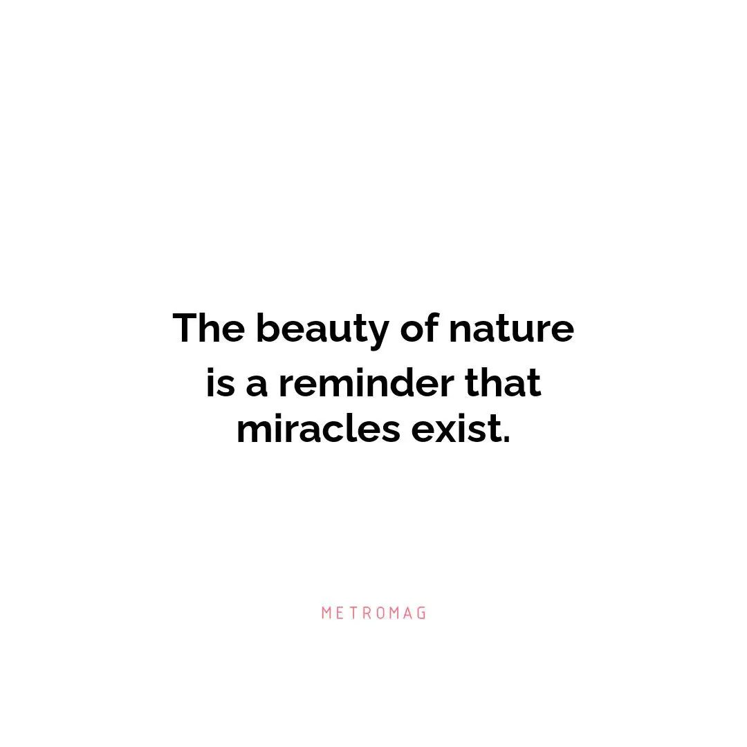 The beauty of nature is a reminder that miracles exist.