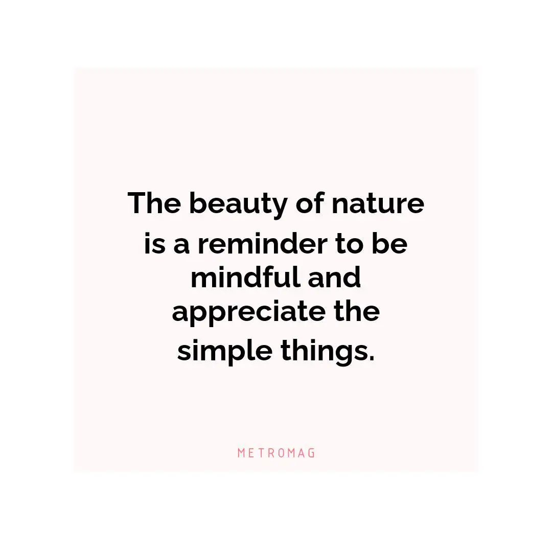 The beauty of nature is a reminder to be mindful and appreciate the simple things.
