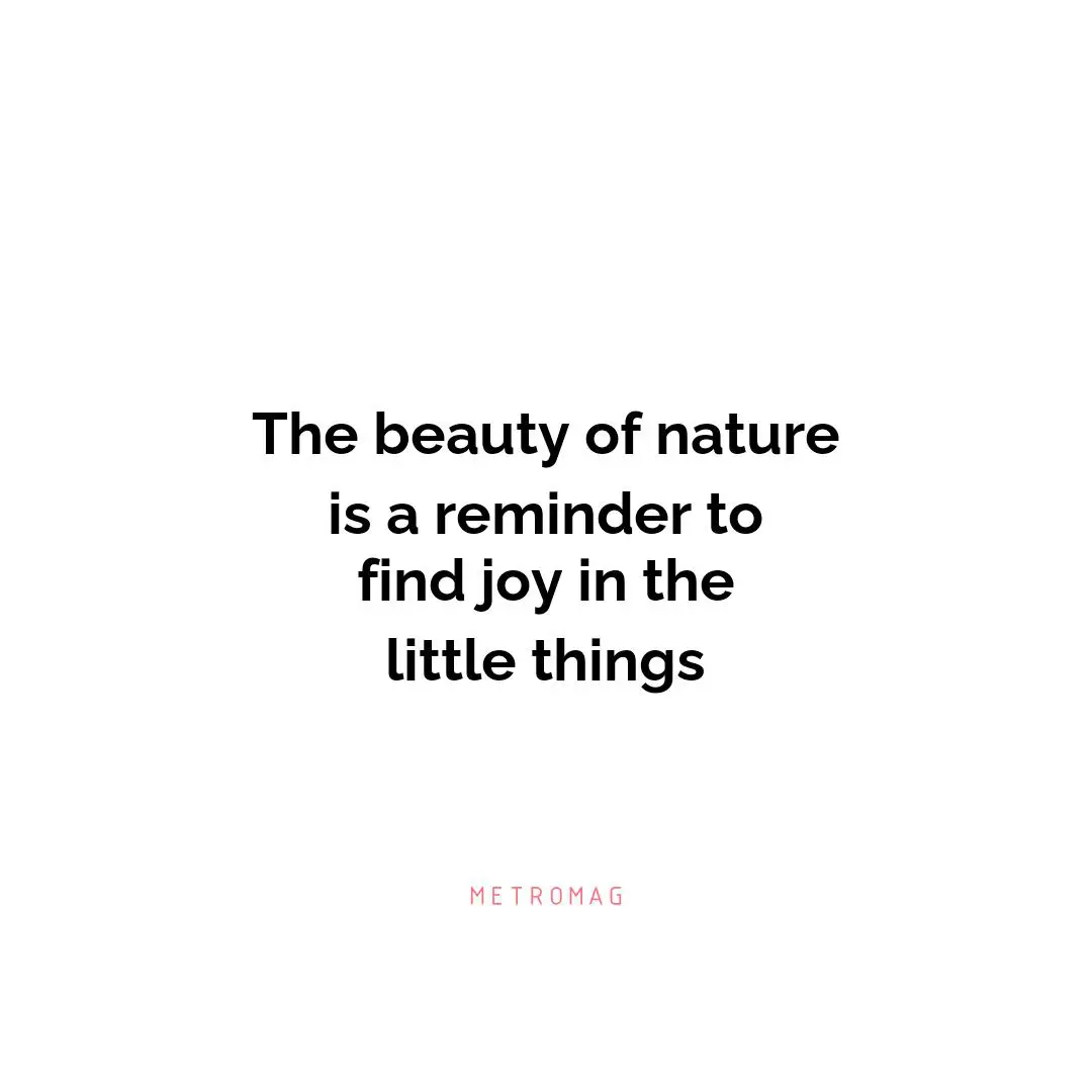 The beauty of nature is a reminder to find joy in the little things