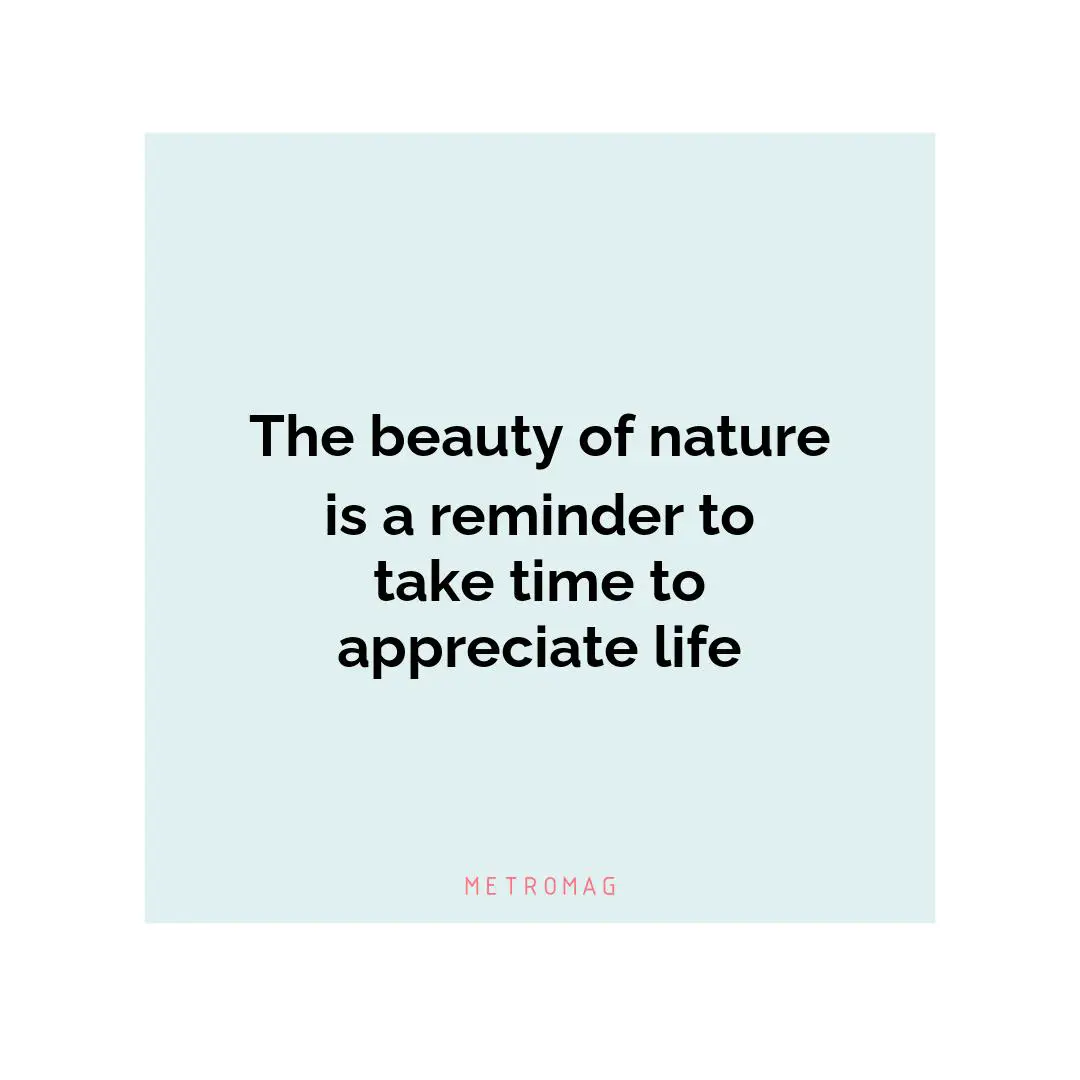 The beauty of nature is a reminder to take time to appreciate life