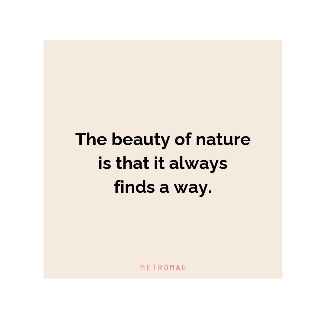 The beauty of nature is that it always finds a way.