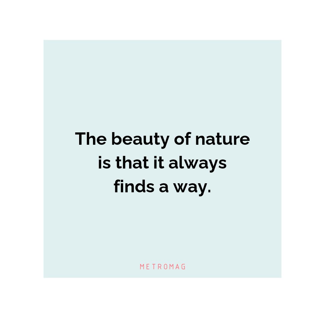 The beauty of nature is that it always finds a way.