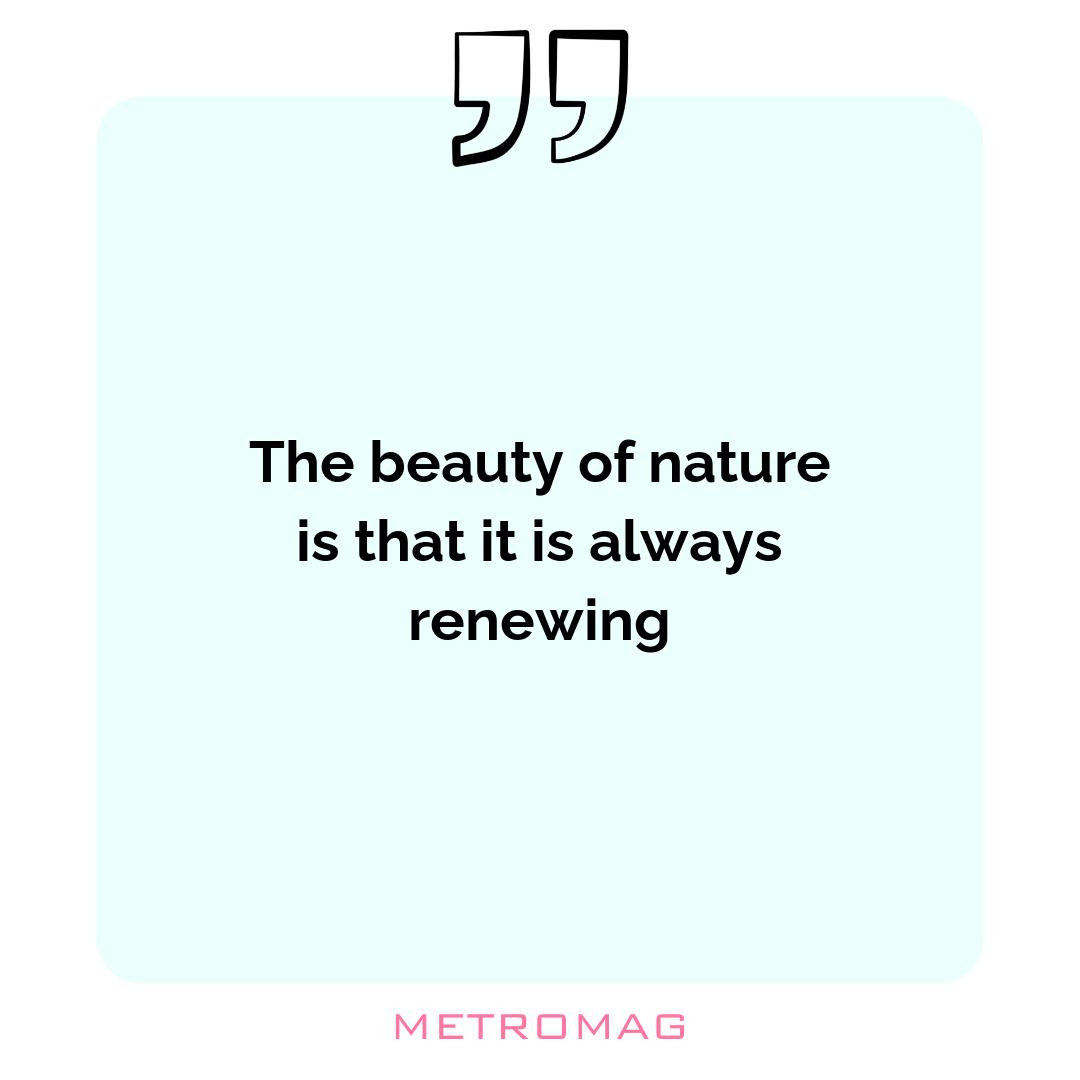 The beauty of nature is that it is always renewing