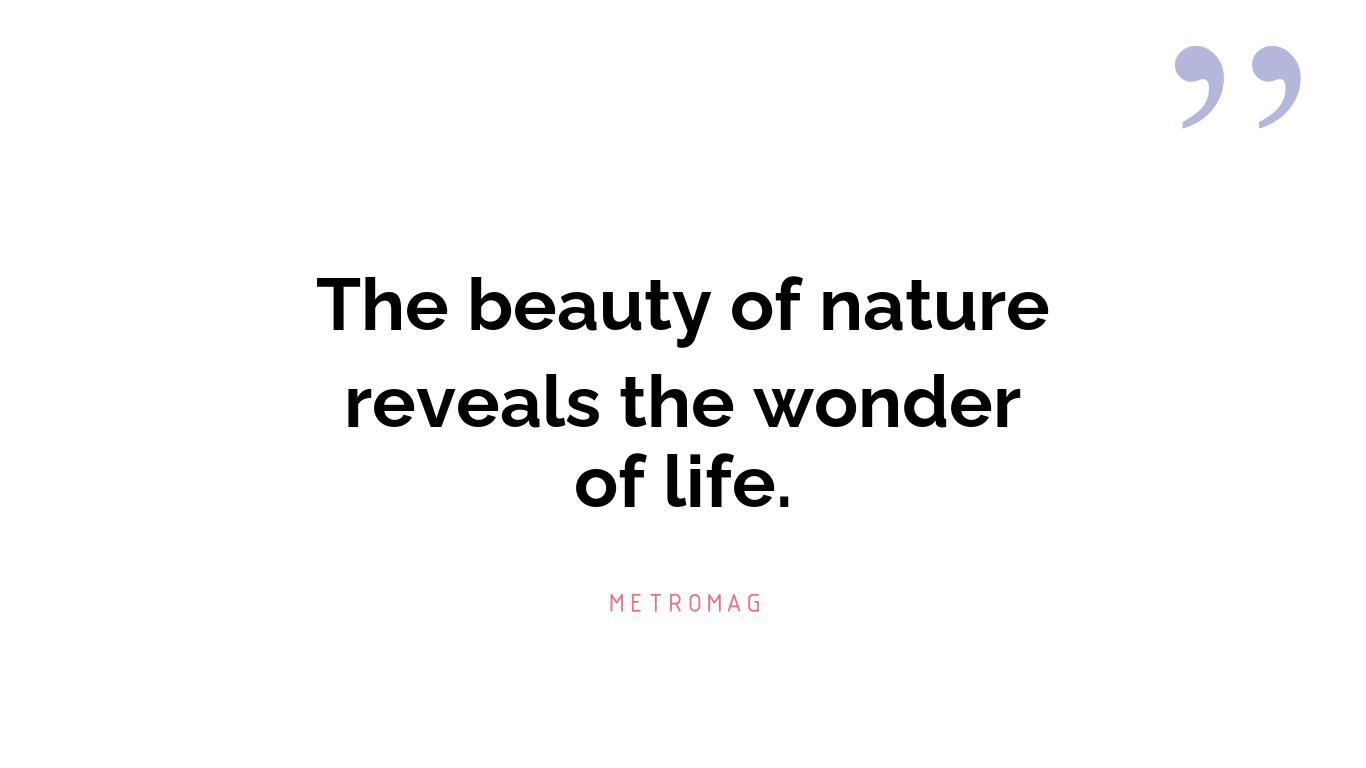 The beauty of nature reveals the wonder of life.