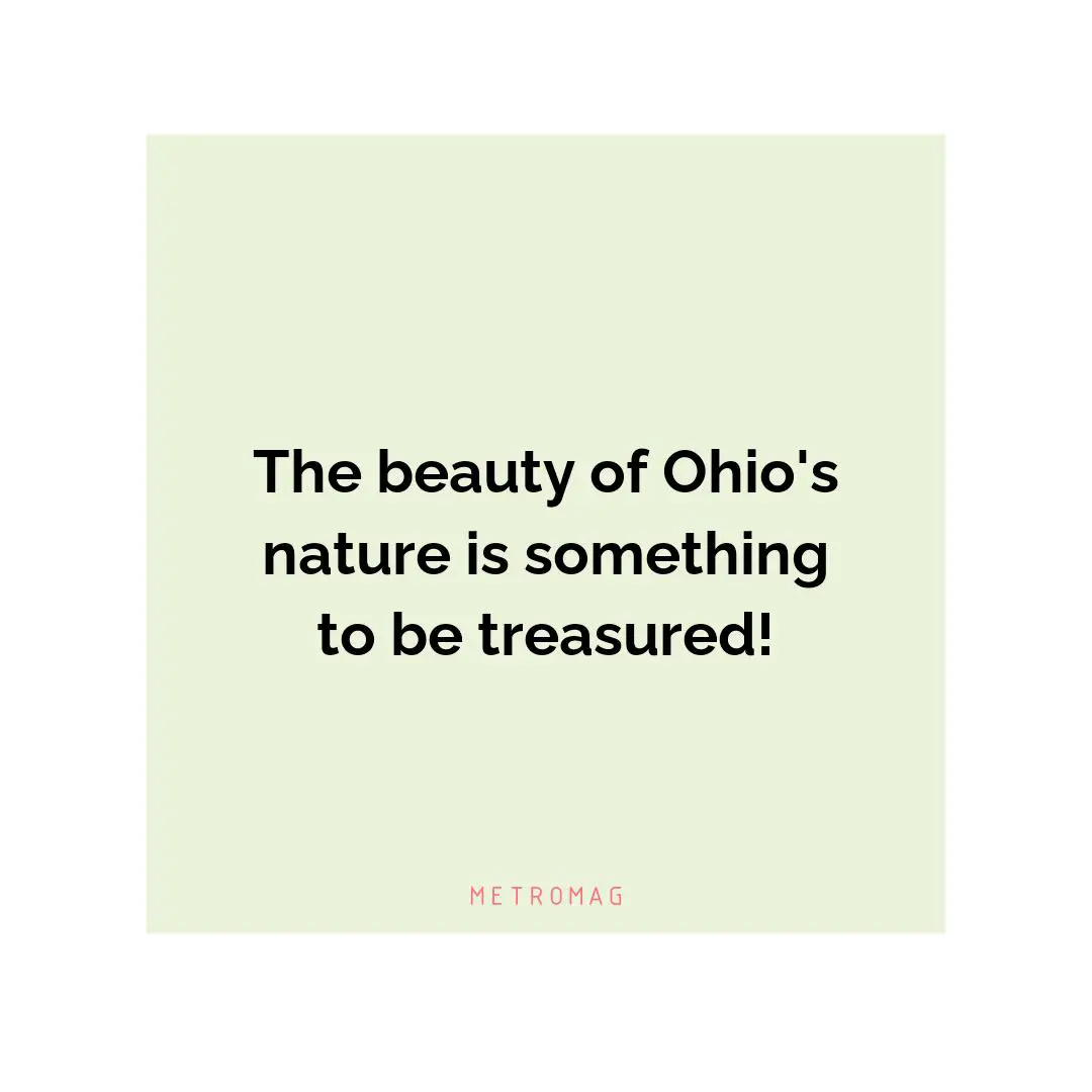 The beauty of Ohio's nature is something to be treasured!
