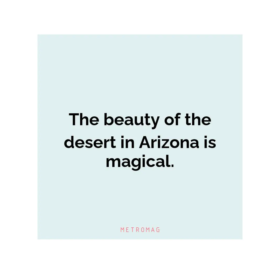 The beauty of the desert in Arizona is magical.
