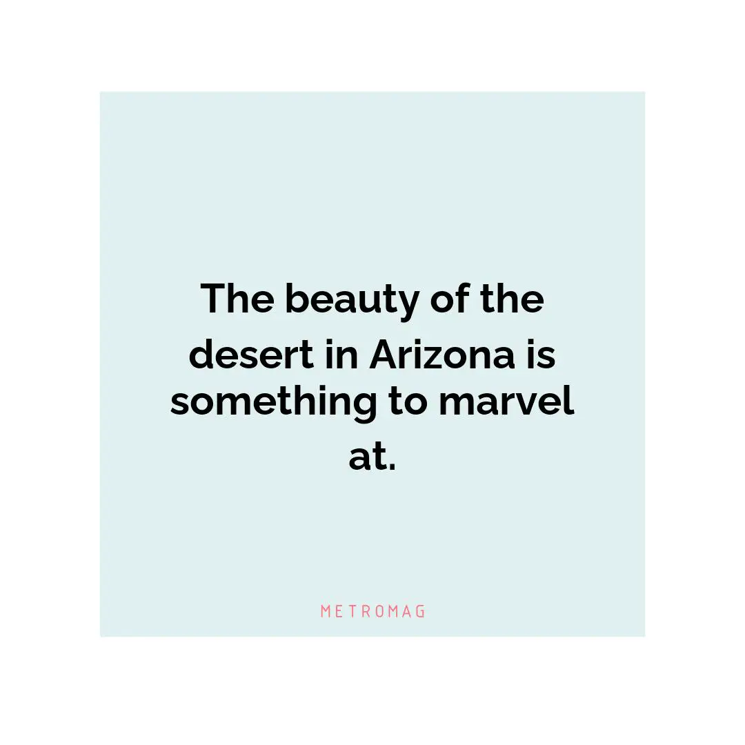 The beauty of the desert in Arizona is something to marvel at.