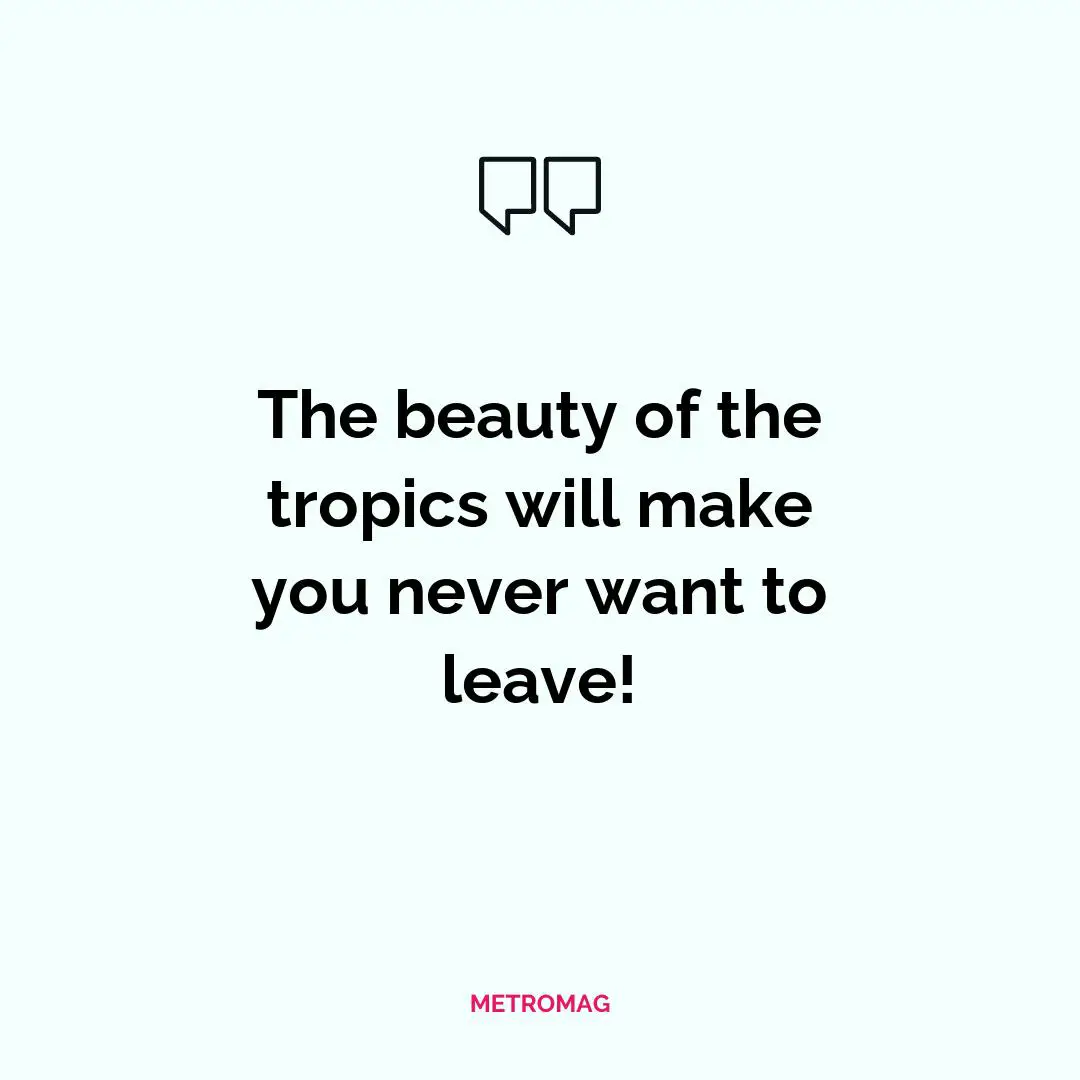 The beauty of the tropics will make you never want to leave!