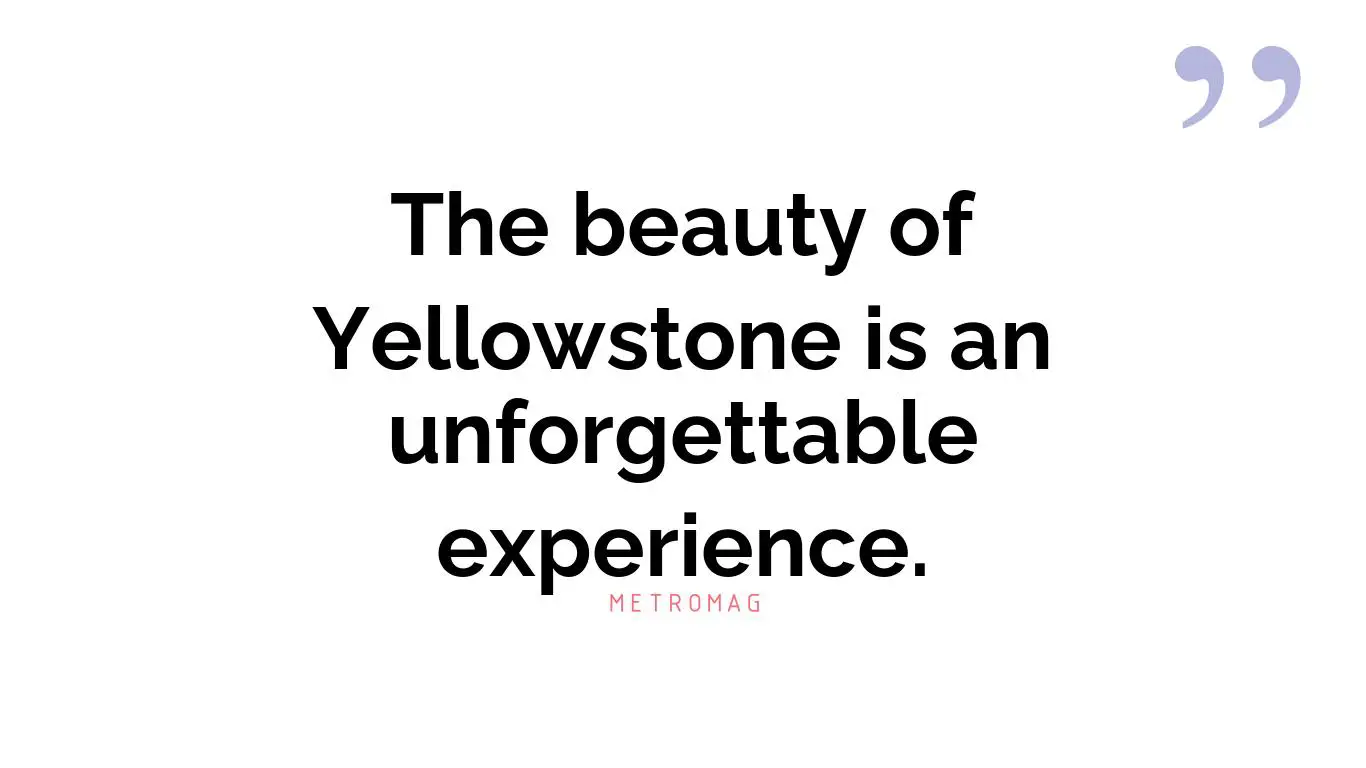 The beauty of Yellowstone is an unforgettable experience.