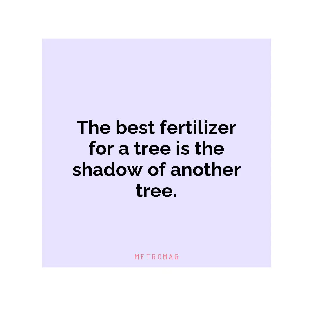 The best fertilizer for a tree is the shadow of another tree.