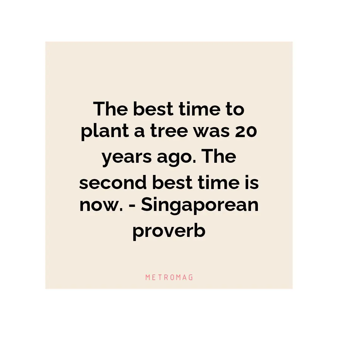 The best time to plant a tree was 20 years ago. The second best time is now. - Singaporean proverb