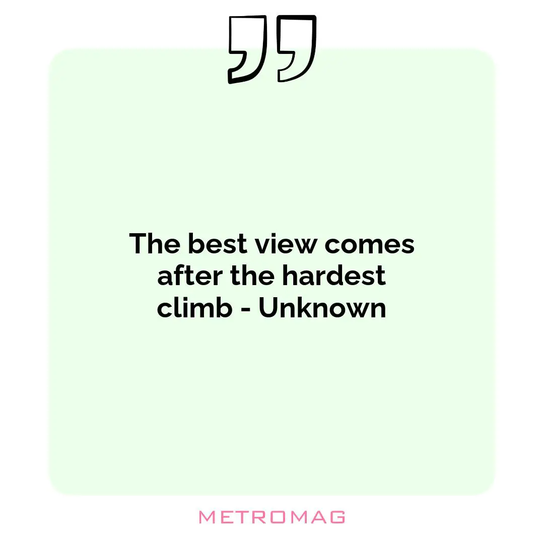 The best view comes after the hardest climb - Unknown