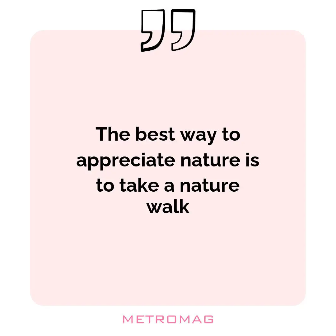 The best way to appreciate nature is to take a nature walk