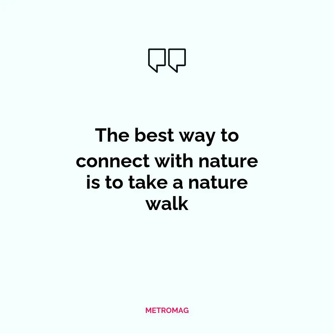 The best way to connect with nature is to take a nature walk