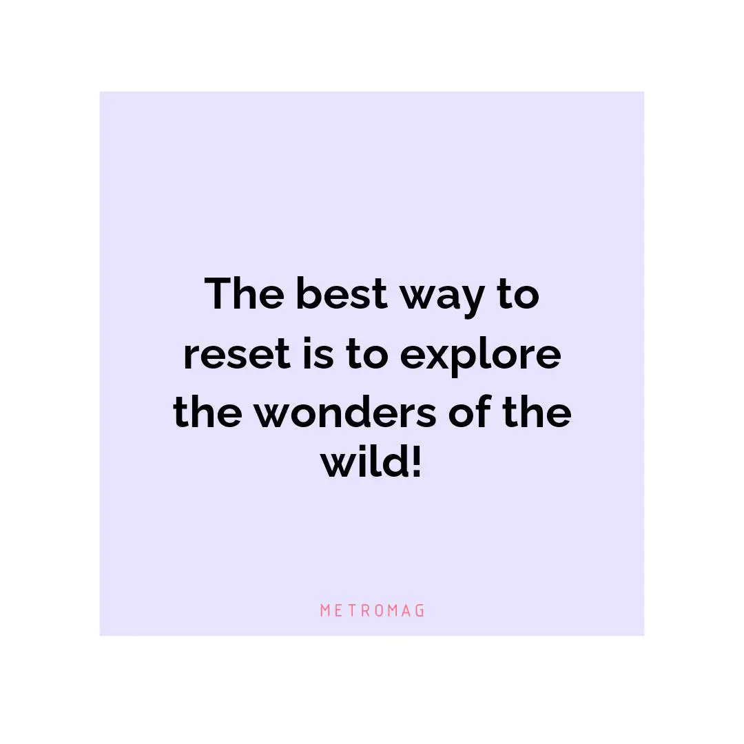 The best way to reset is to explore the wonders of the wild!