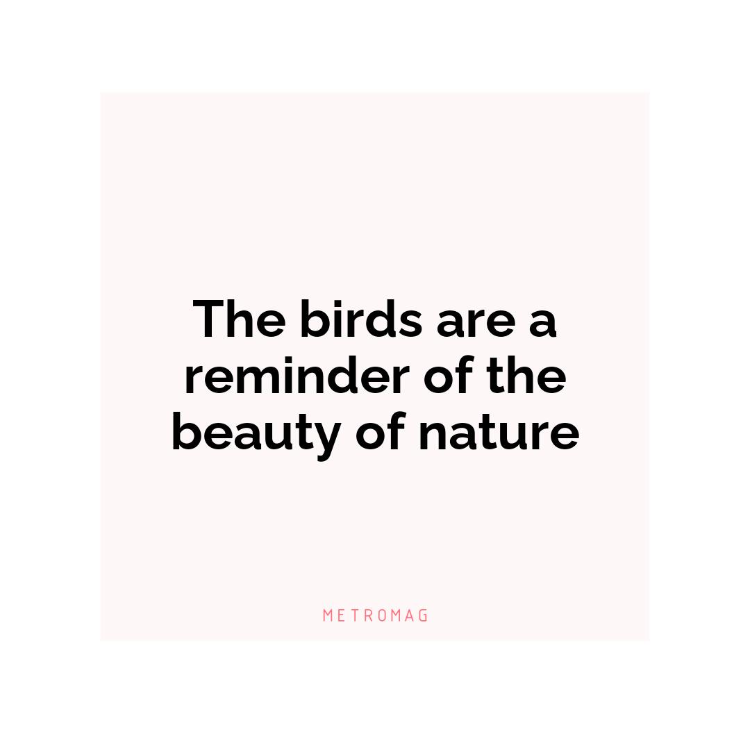 The birds are a reminder of the beauty of nature