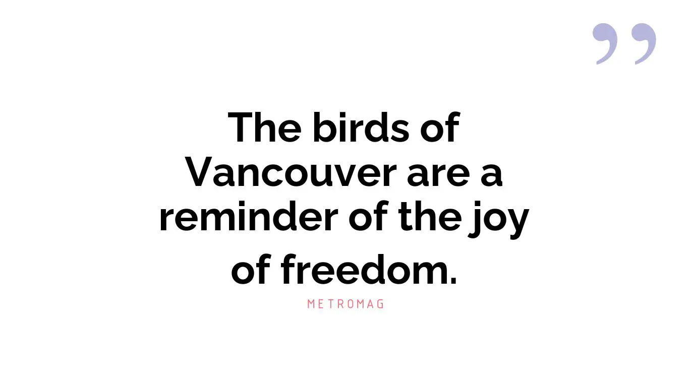 The birds of Vancouver are a reminder of the joy of freedom.
