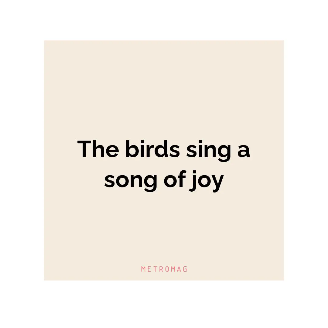 The birds sing a song of joy