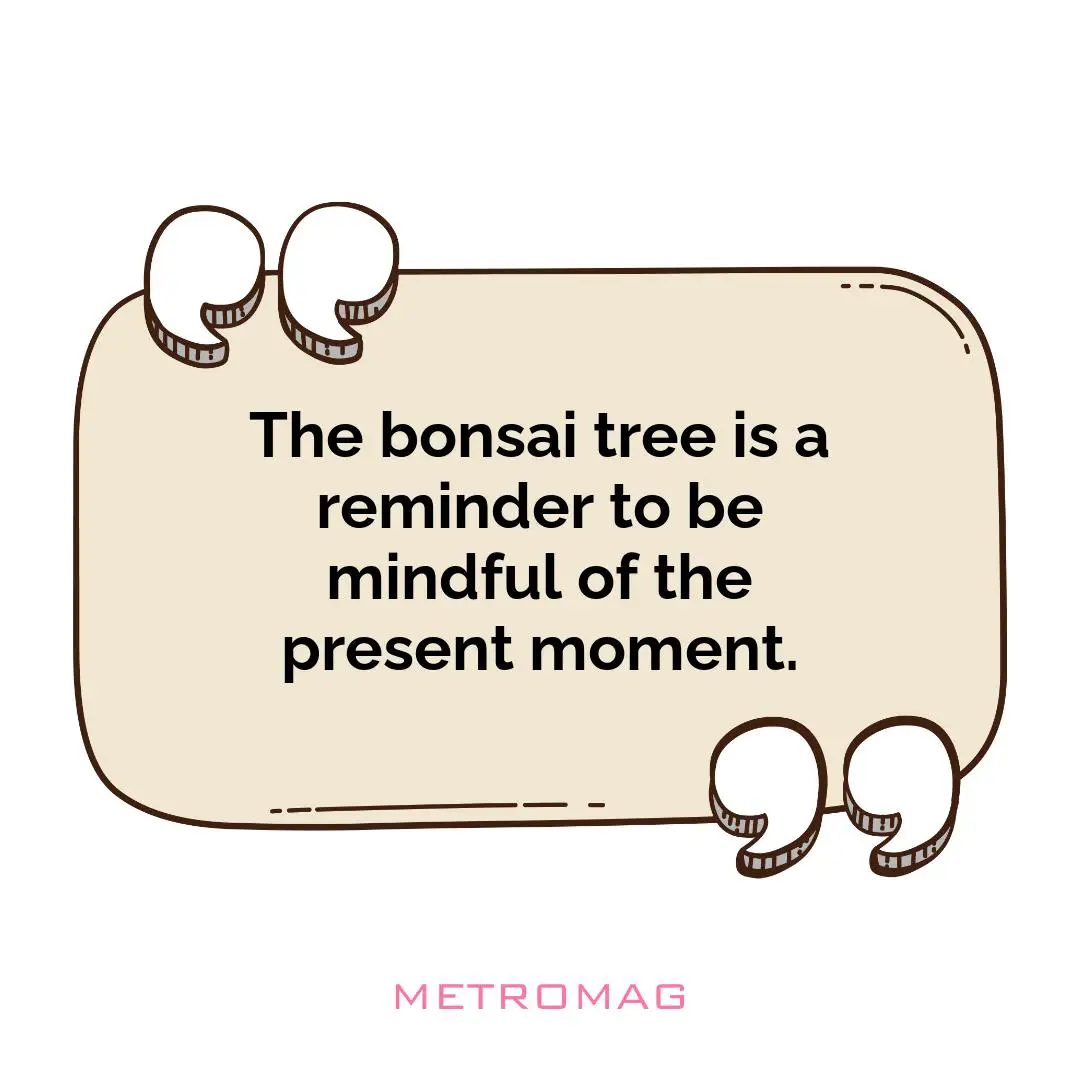 The bonsai tree is a reminder to be mindful of the present moment.
