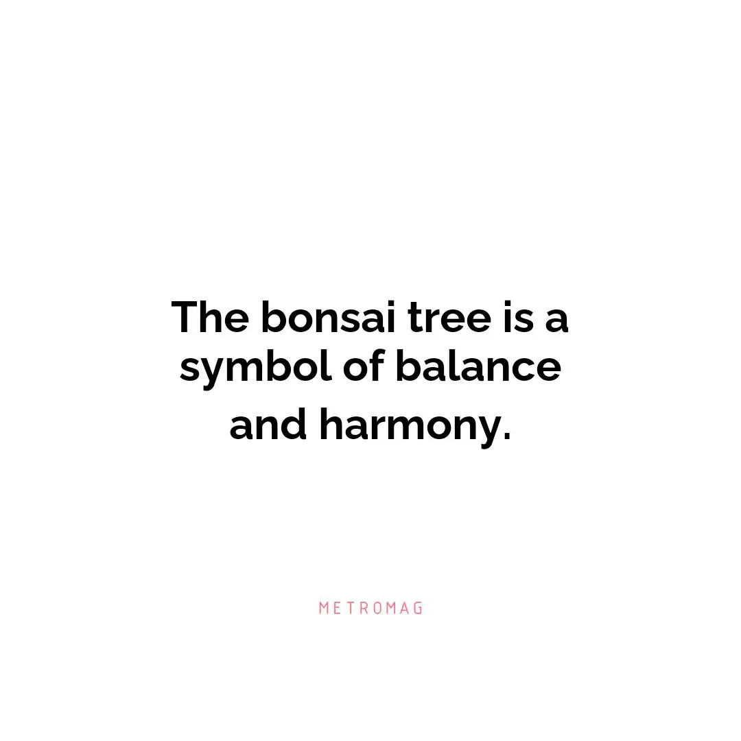 The bonsai tree is a symbol of balance and harmony.