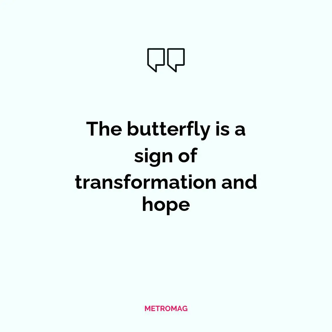 The butterfly is a sign of transformation and hope