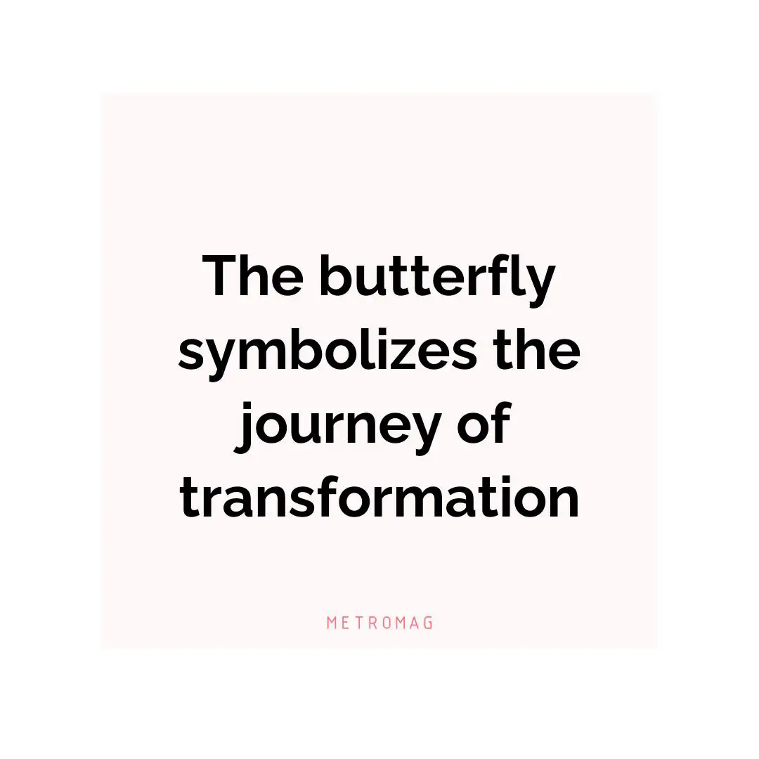 The butterfly symbolizes the journey of transformation
