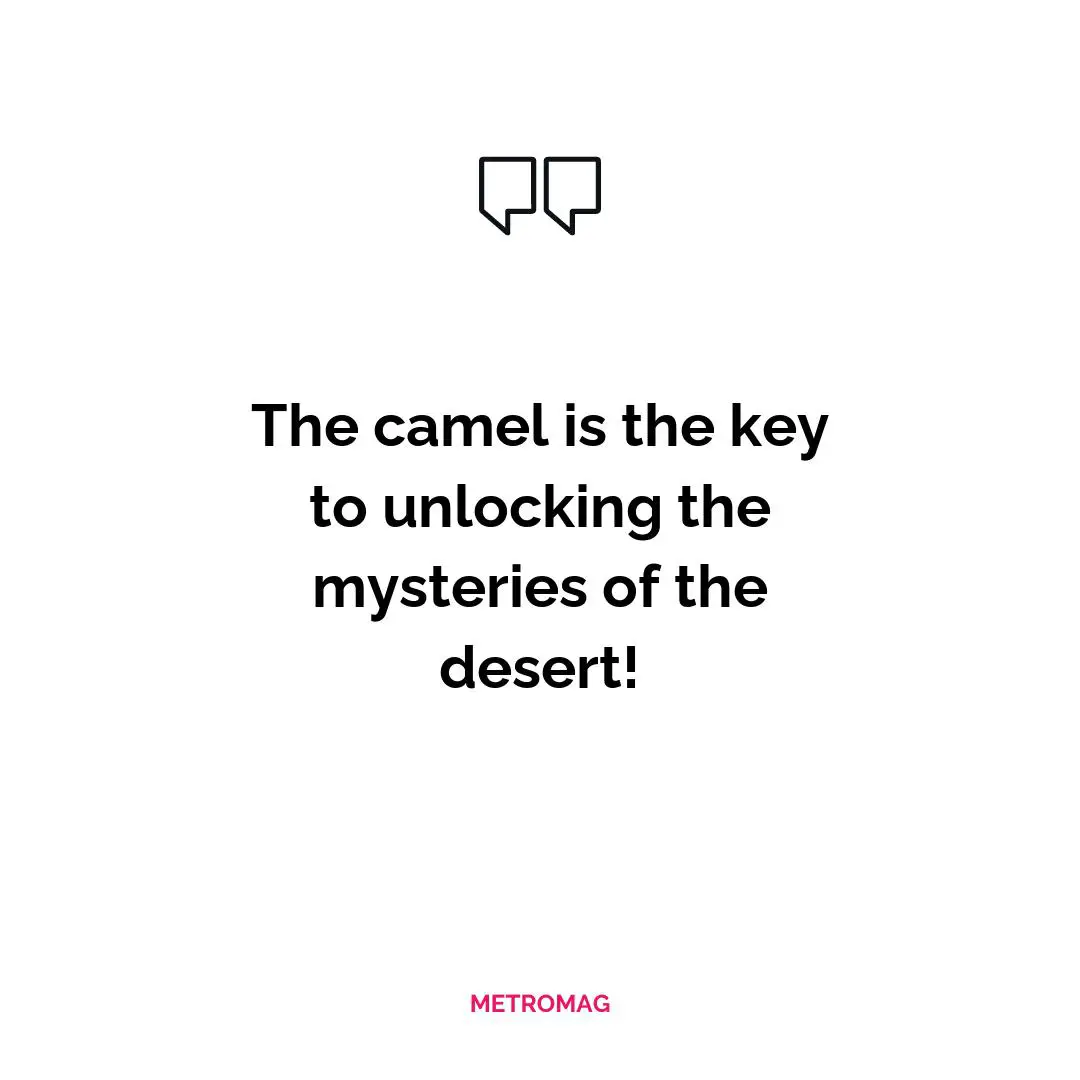 The camel is the key to unlocking the mysteries of the desert!