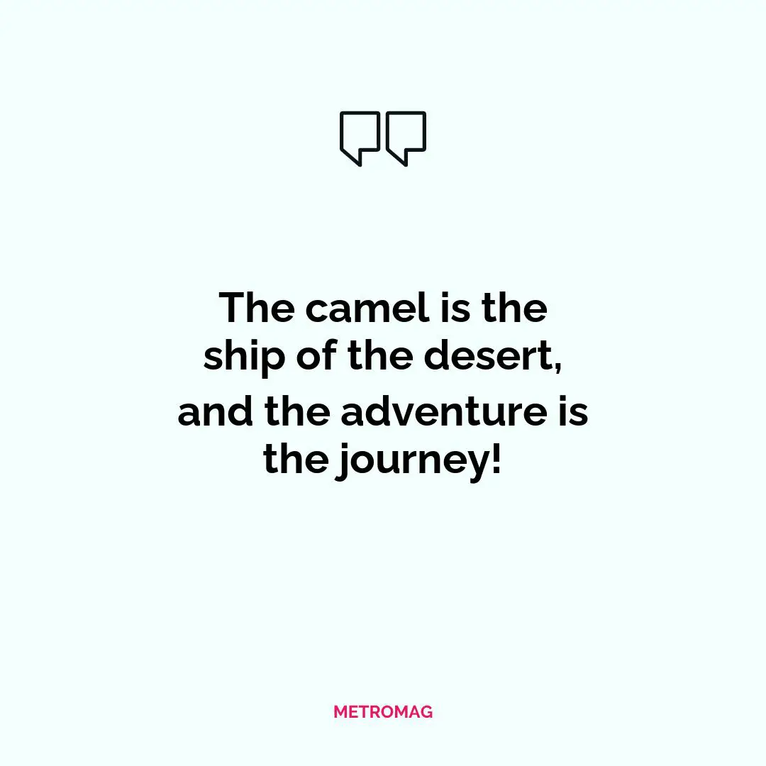 The camel is the ship of the desert, and the adventure is the journey!