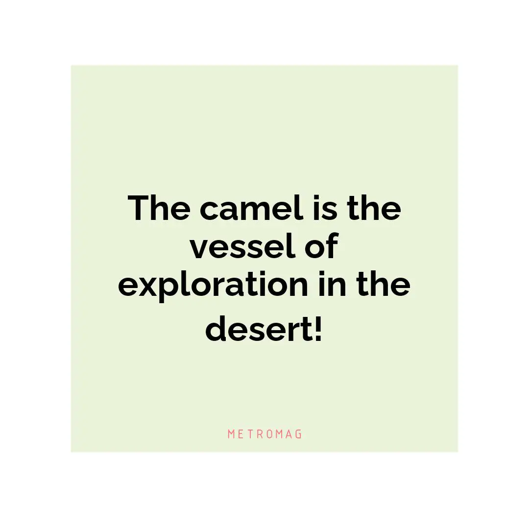 The camel is the vessel of exploration in the desert!