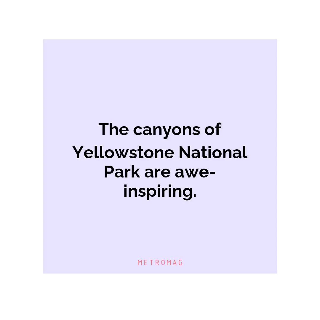 The canyons of Yellowstone National Park are awe-inspiring.