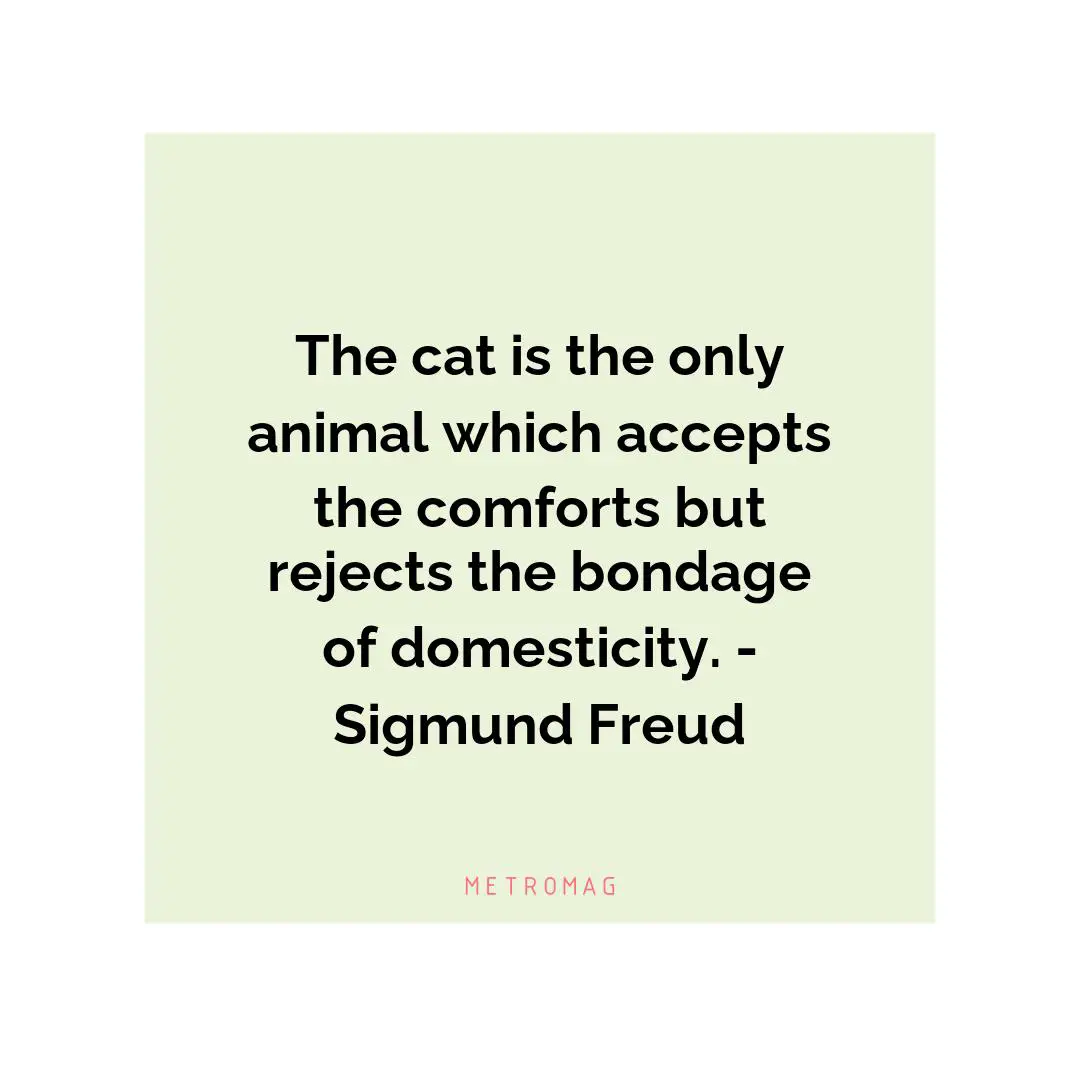 The cat is the only animal which accepts the comforts but rejects the bondage of domesticity. - Sigmund Freud