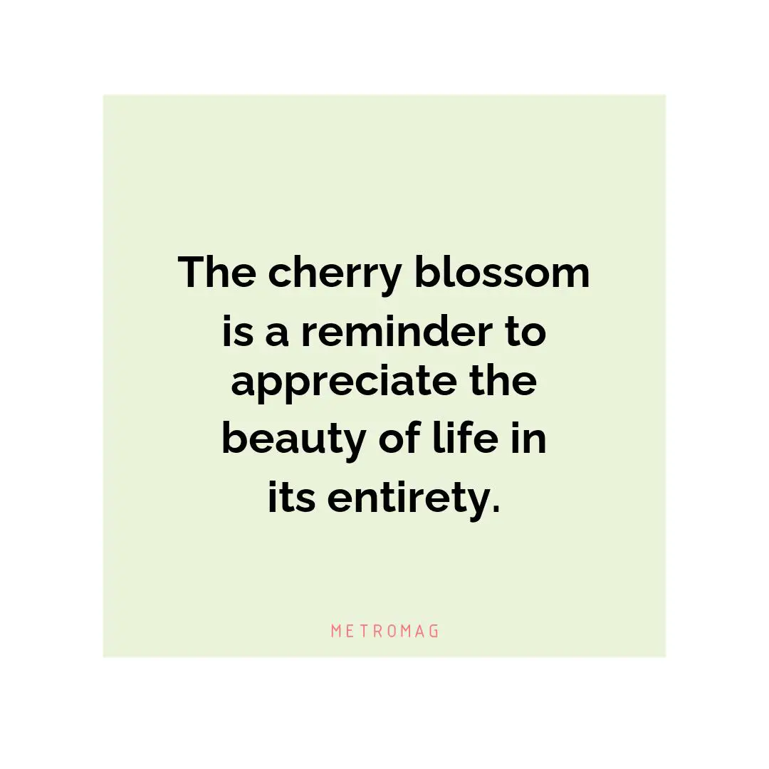 The cherry blossom is a reminder to appreciate the beauty of life in its entirety.