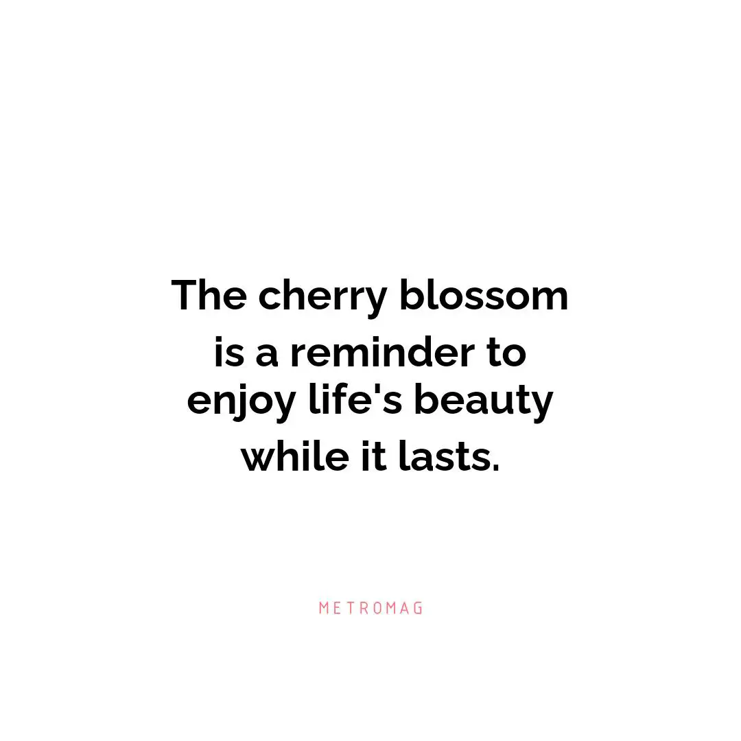 The cherry blossom is a reminder to enjoy life's beauty while it lasts.