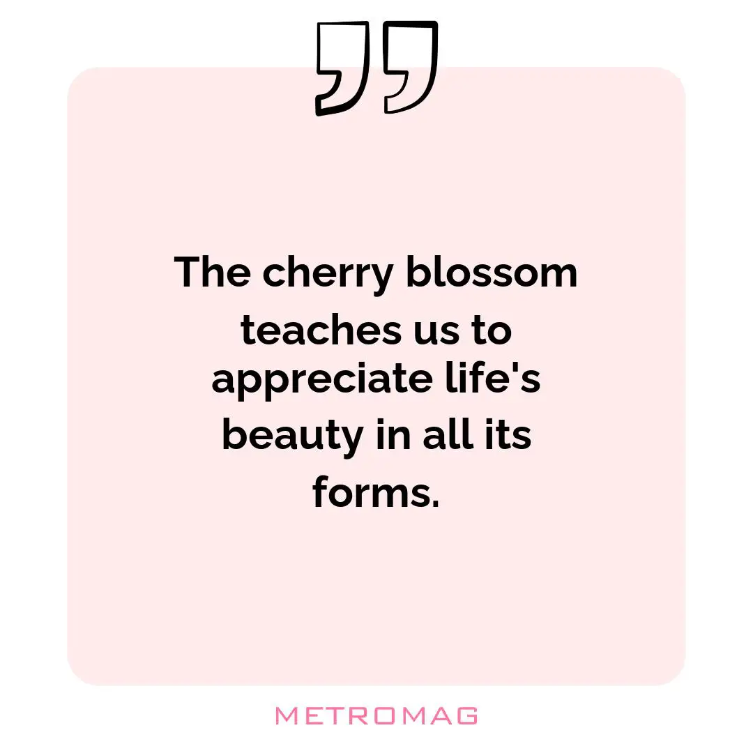 The cherry blossom teaches us to appreciate life's beauty in all its forms.