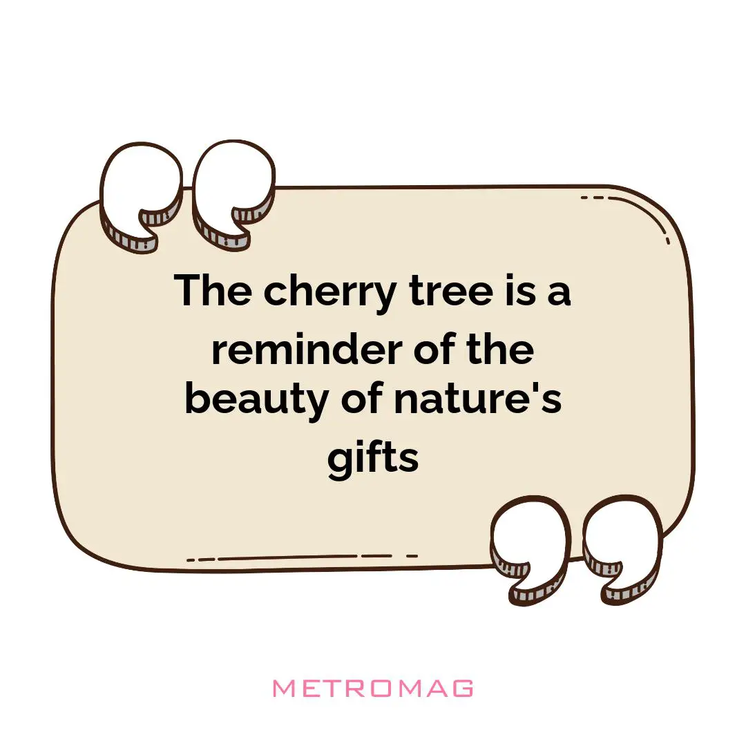 The cherry tree is a reminder of the beauty of nature's gifts