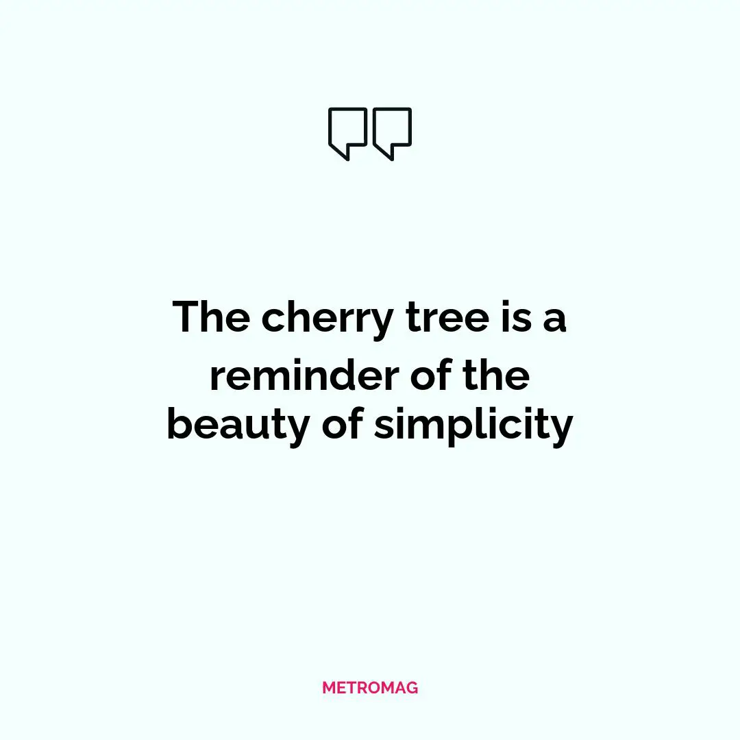 The cherry tree is a reminder of the beauty of simplicity