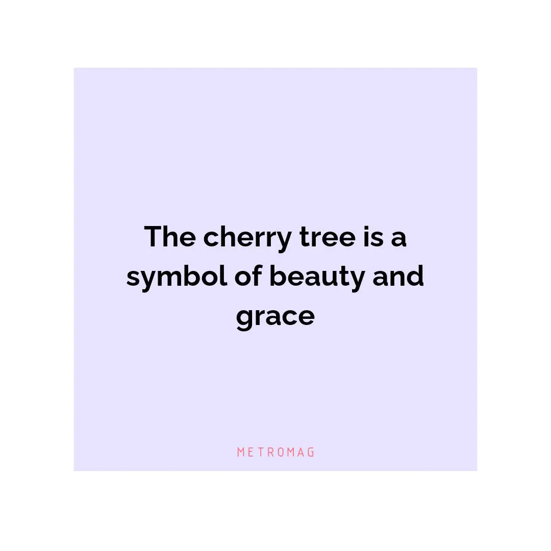 The cherry tree is a symbol of beauty and grace