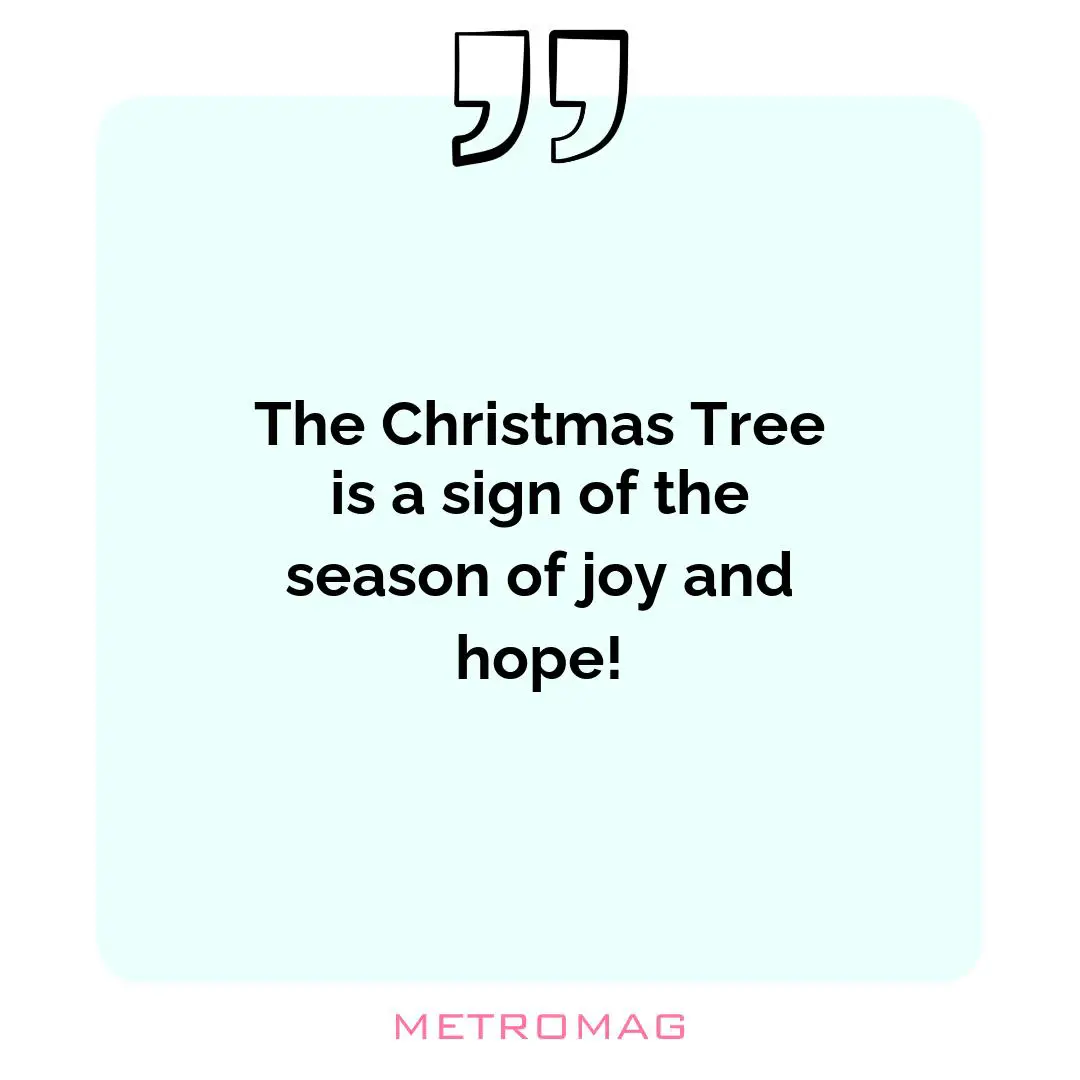 The Christmas Tree is a sign of the season of joy and hope!