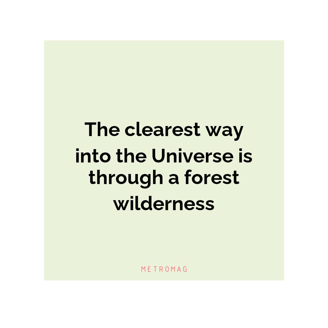 The clearest way into the Universe is through a forest wilderness