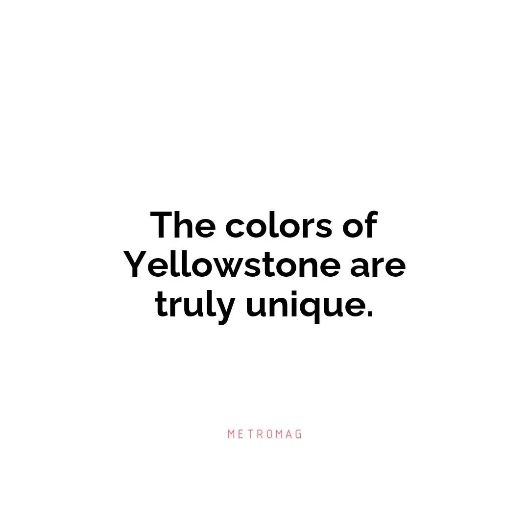 The colors of Yellowstone are truly unique.