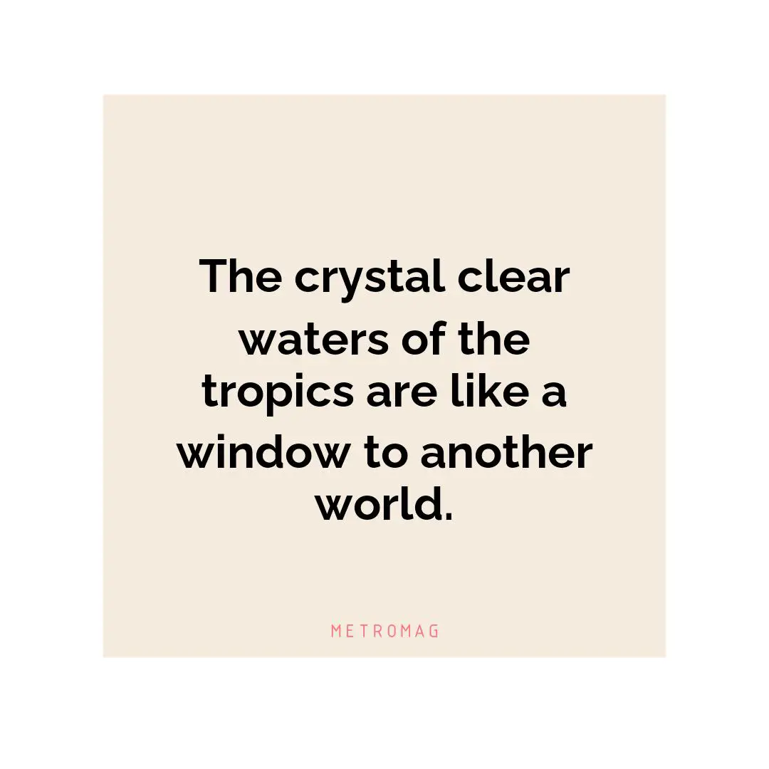The crystal clear waters of the tropics are like a window to another world.
