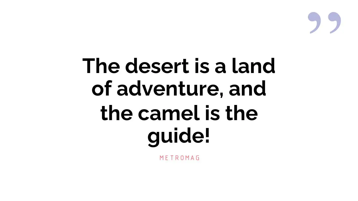 The desert is a land of adventure, and the camel is the guide!