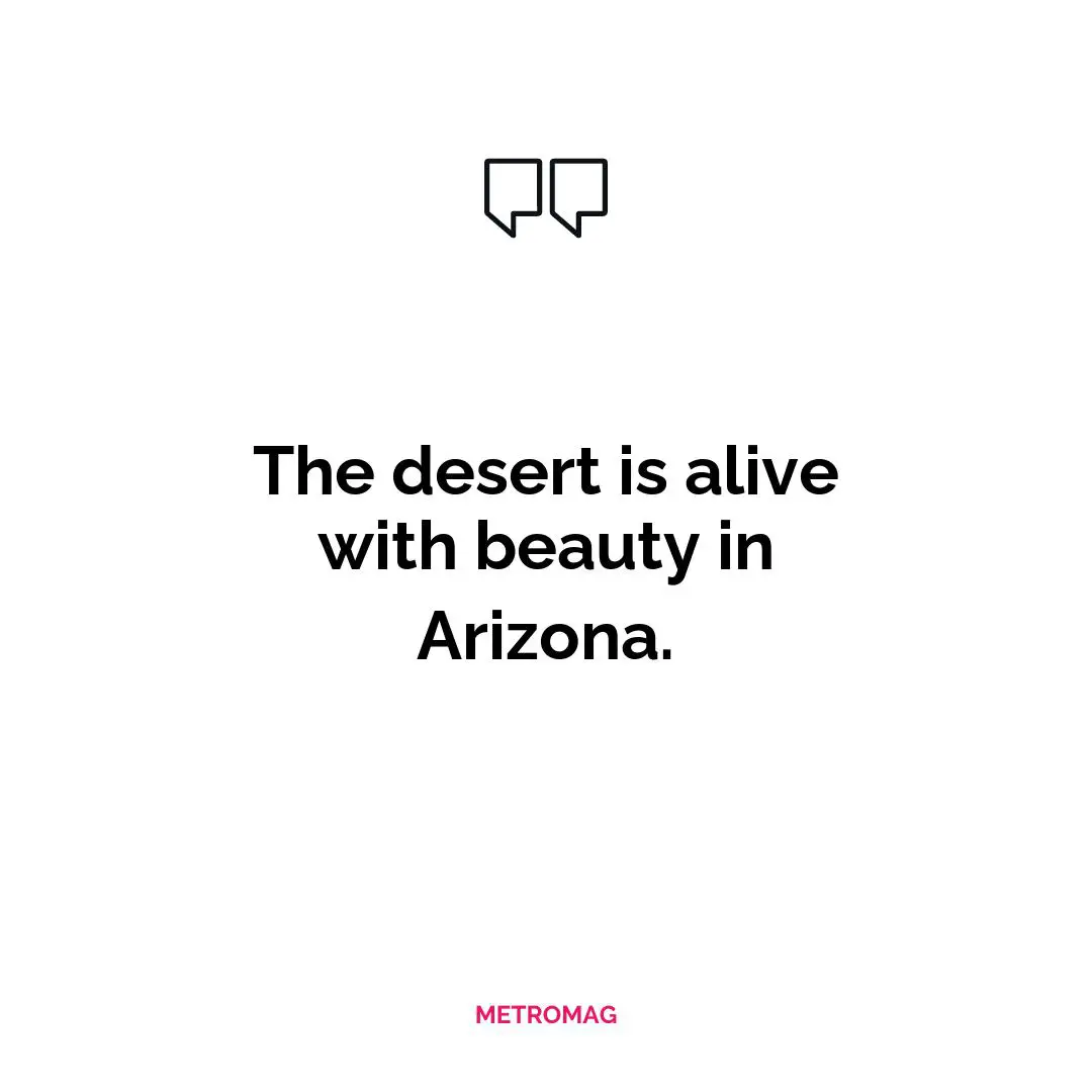 The desert is alive with beauty in Arizona.