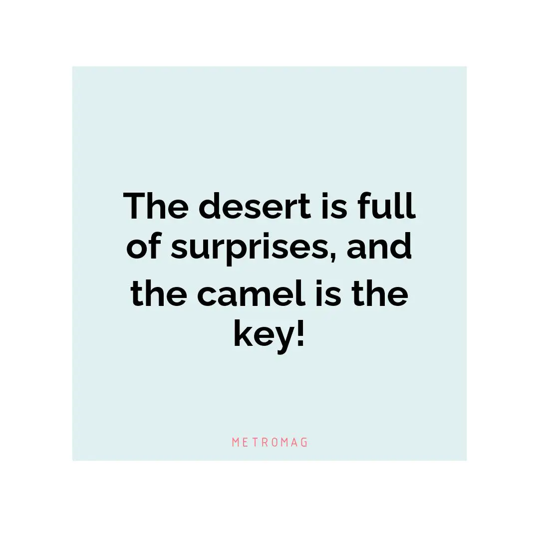 The desert is full of surprises, and the camel is the key!