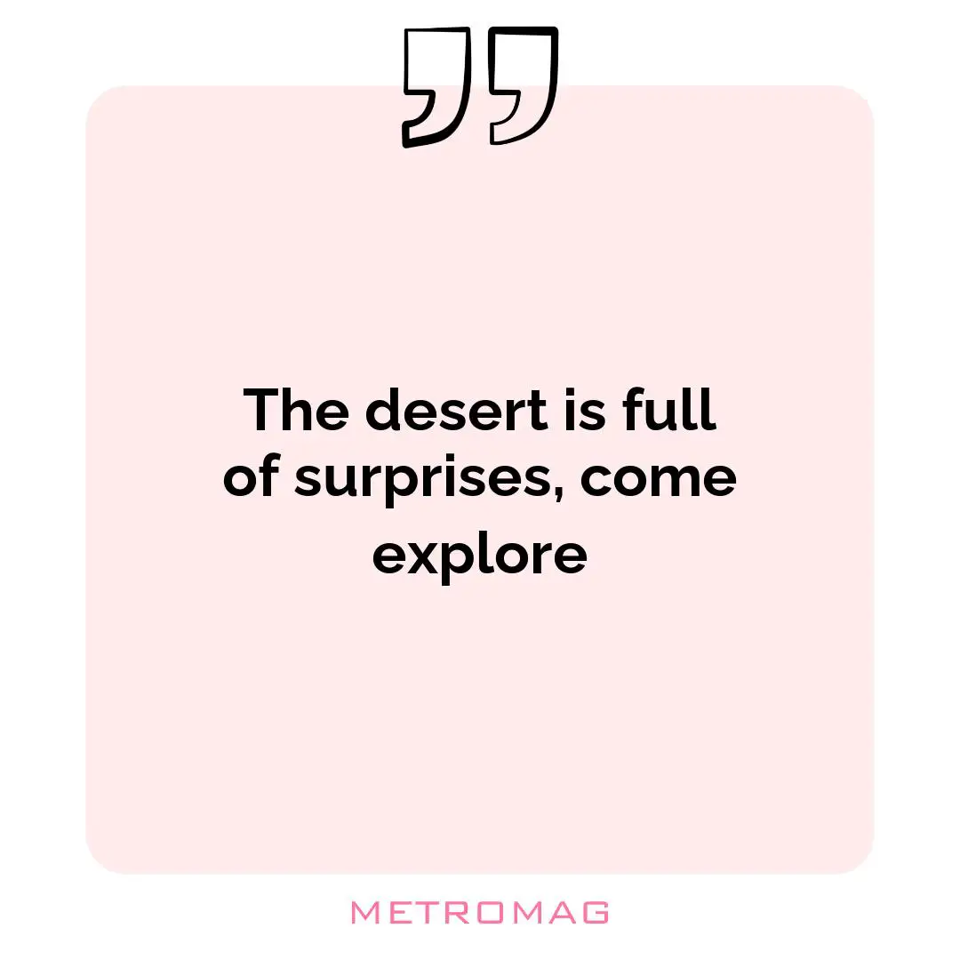 The desert is full of surprises, come explore