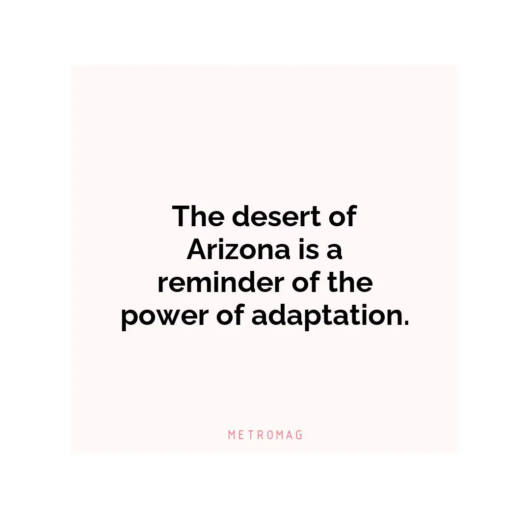 The desert of Arizona is a reminder of the power of adaptation.