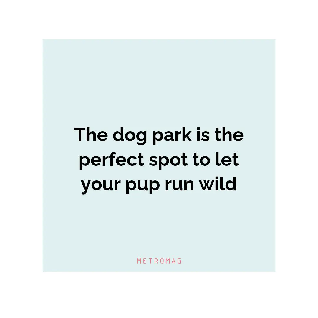 The dog park is the perfect spot to let your pup run wild