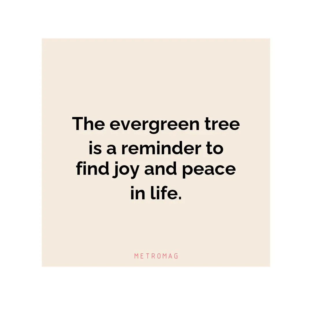 The evergreen tree is a reminder to find joy and peace in life.