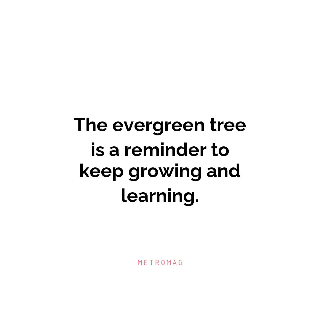 The evergreen tree is a reminder to keep growing and learning.